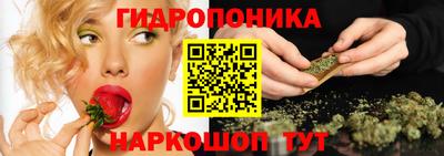 крисы Ливны