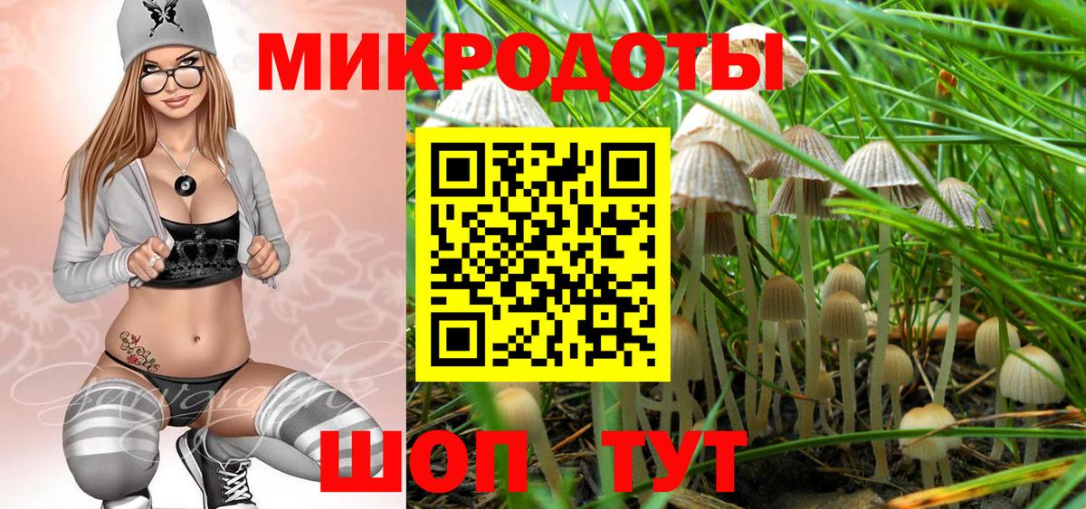 Галлюциногенные грибы Magic Shrooms Ейск