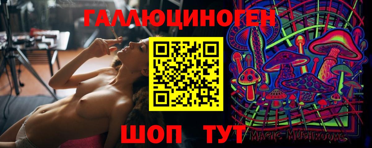 Псилоцибиновые грибы MAGIC MUSHROOMS  Вход с VPN  цены   Ейск 