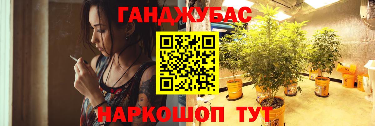 Конопля марихуана  Бошки марихуана план  Ейск  Вход с VPN 